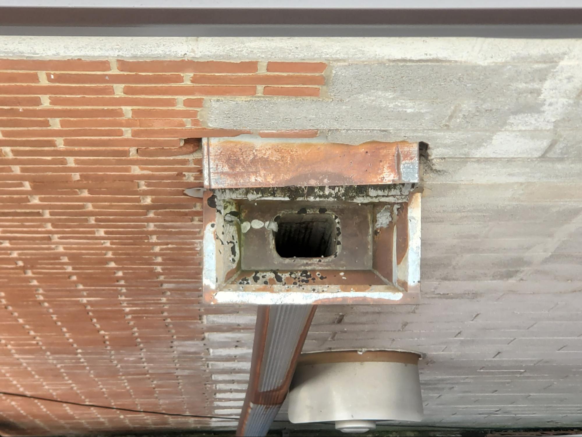 Drain Cleaning and Repair